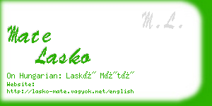 mate lasko business card